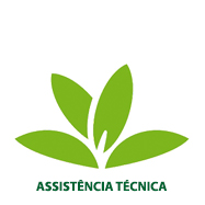 desc